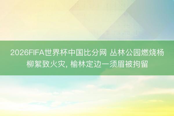 2026FIFA世界杯中国比分网 丛林公园燃烧杨柳絮致火灾, 榆林定边一须眉被拘留