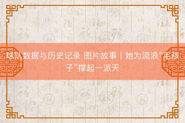 球队数据与历史记录 图片故事丨她为流浪“毛孩子”撑起一派天