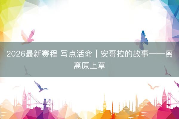 2026最新赛程 写点活命｜安哥拉的故事——离离原上草