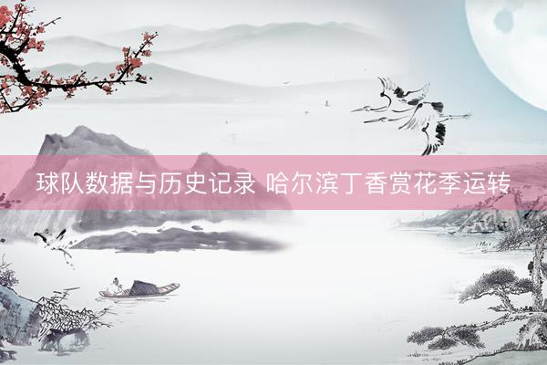 球队数据与历史记录 哈尔滨丁香赏花季运转