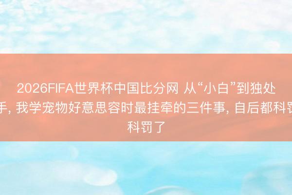 2026FIFA世界杯中国比分网 从“小白”到独处上手， 我学宠物好意思容时最挂牵的三件事， 自后都科罚了
