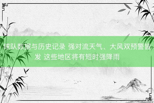 球队数据与历史记录 强对流天气、大风双预警皆发 这些地区将有短时强降雨