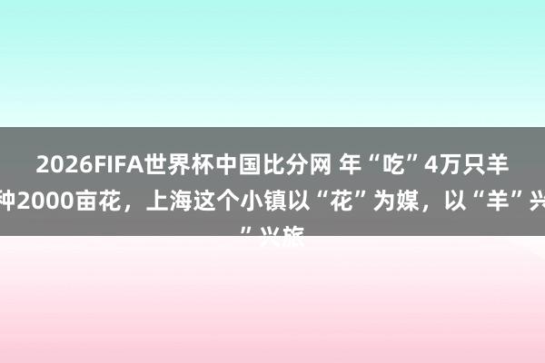 2026FIFA世界杯中国比分网 年“吃”4万只羊、种2000亩花，上海这个小镇以“花”为媒，以“羊”兴旅